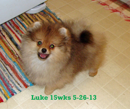 Luke15+wks5-26-13(2).jpg (80826 bytes)