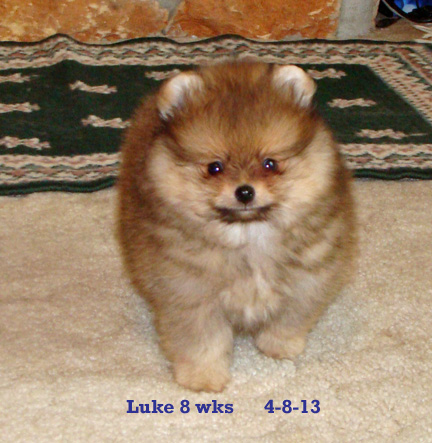 Luke2mosold4-8-13front.jpg"