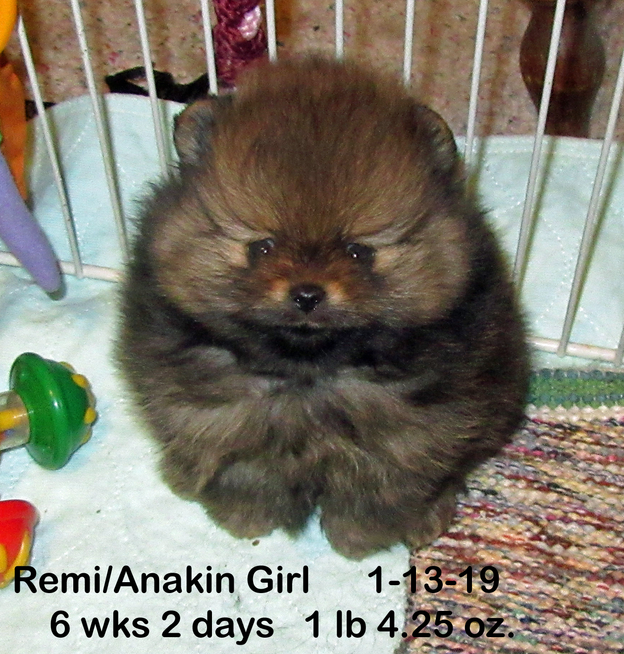 Remi-AnakinGirls-Rina1-13-196wk2days.jpg (80826 bytes)